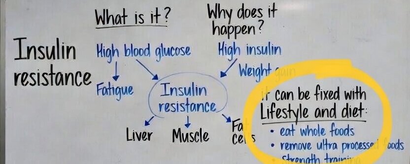 Original cover for What is Insulin Resistance… and why should you care?